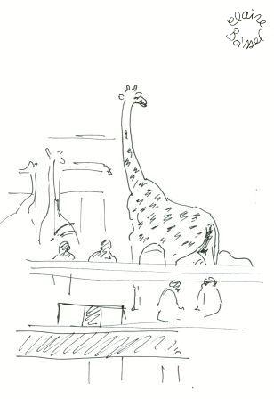 croquis girafe